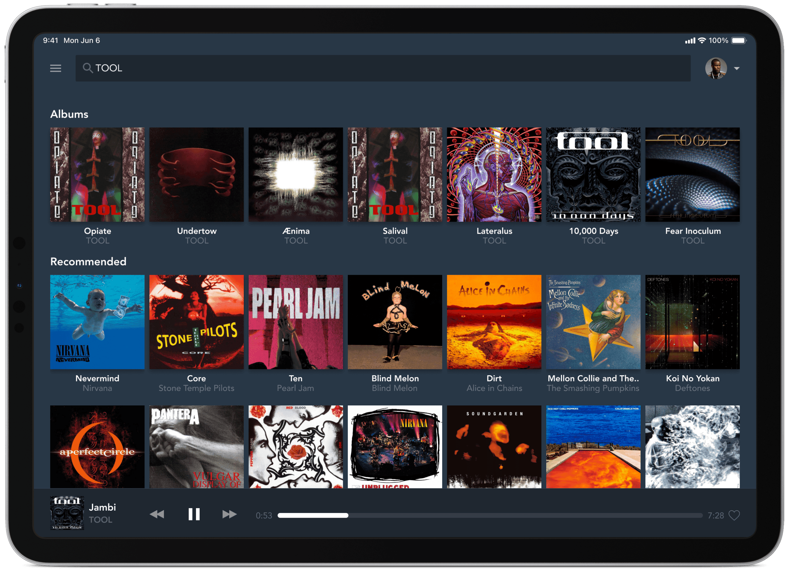 Tablet music streaming interface showing a search grid of album covers.
