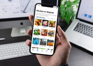 Hand holding a smartphone displaying a 'Declare or dispose' travel app screen with a visual grid of biosecurity risk categories for visitors entering New Zealand.