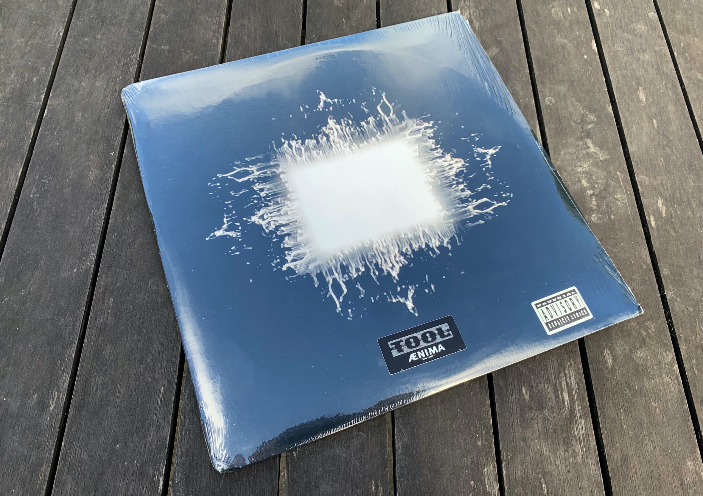 Vinyl copy of TOOL's album Ænima