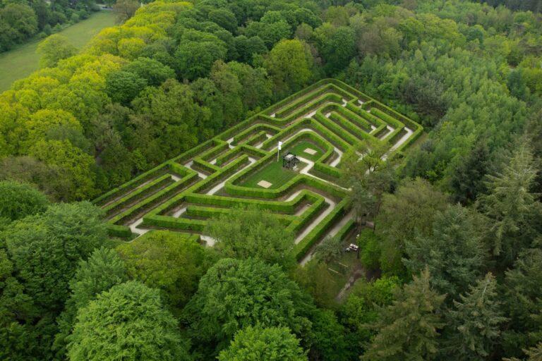 Aerial view of a sprawling green hedge maze surrounded by dense woodland, capturing complex spatial navigation and user flow exploration.