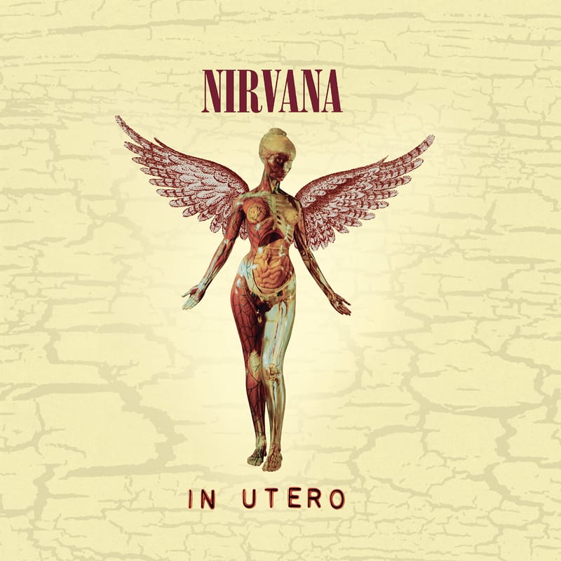 Distinctive cover graphic for Nirvana's In Utero, displaying a transparent anatomical angel mannequin with wings.