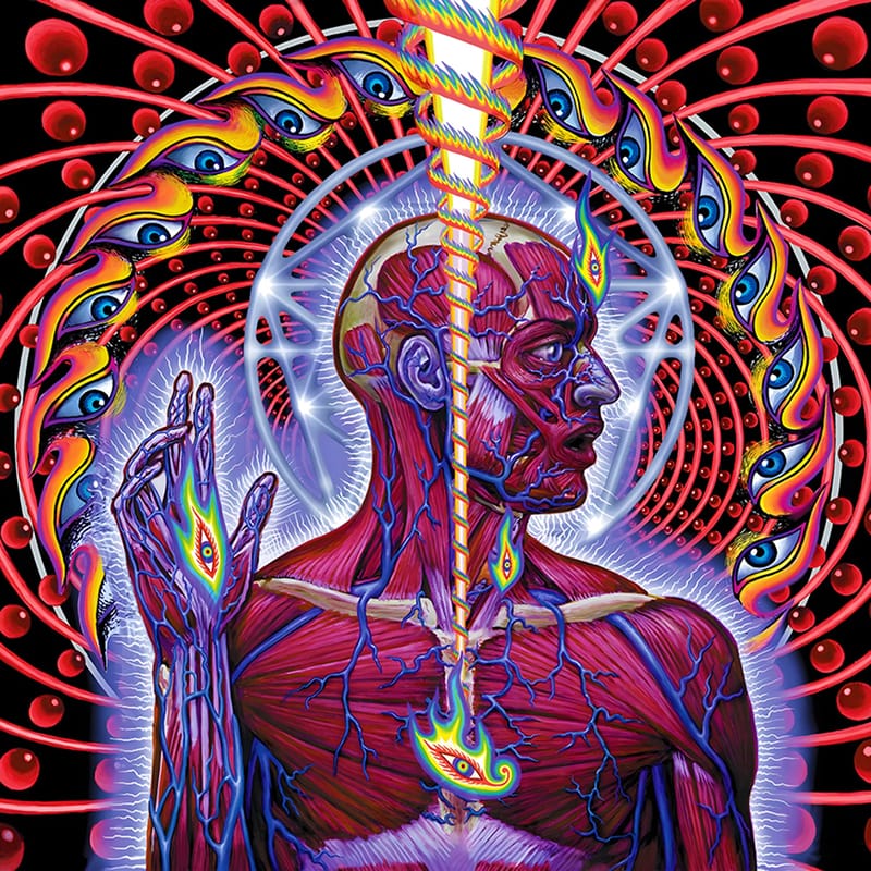 Anatomical art piece by Alex Grey for Tool's Lateralus, featuring a transparent human form with glowing energy channels.