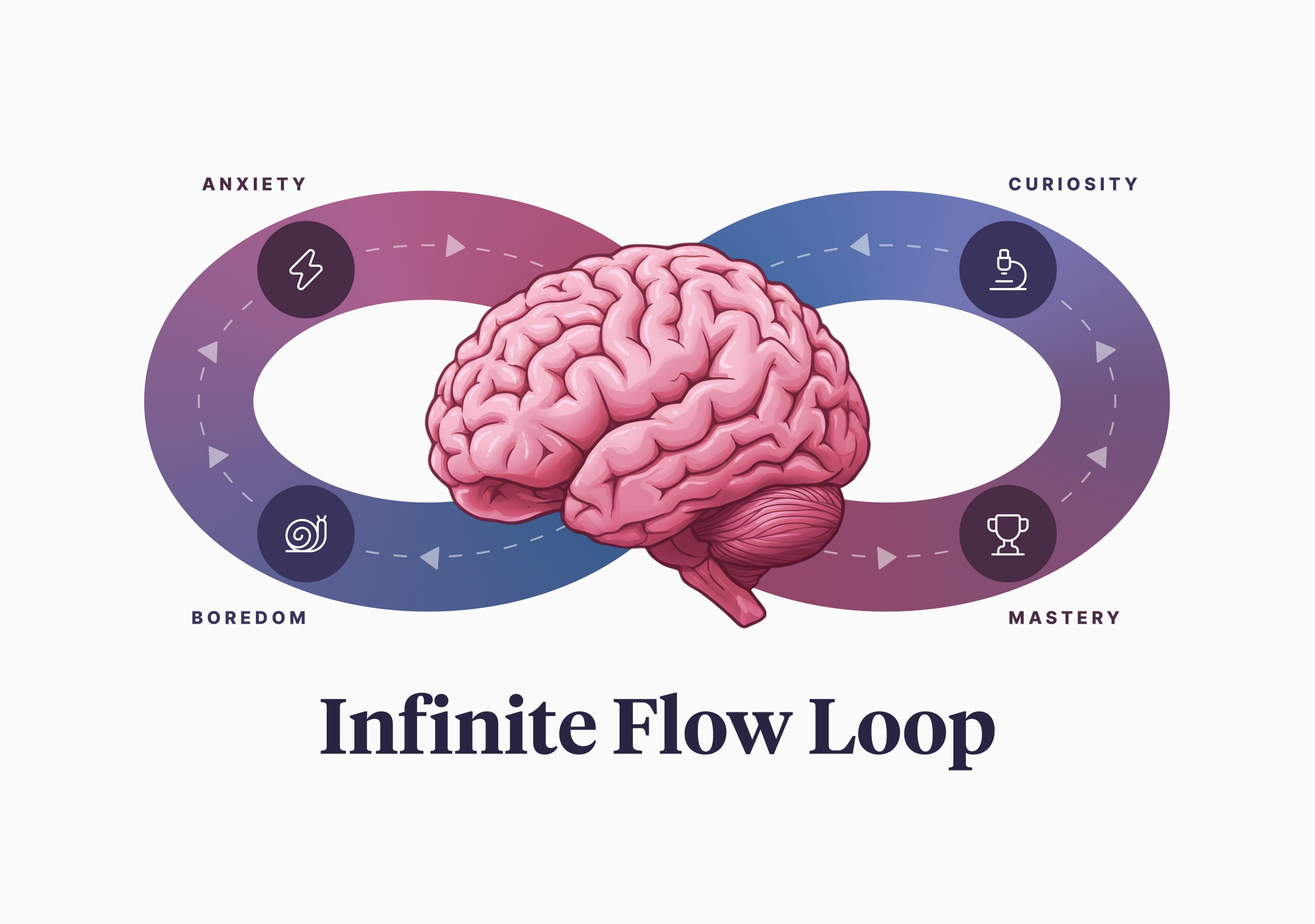 Infographic titled "Infinite Flow Loop", a brain at the centre of an infinity symbol labelled curiosity, mastery, boredom and anxiety.